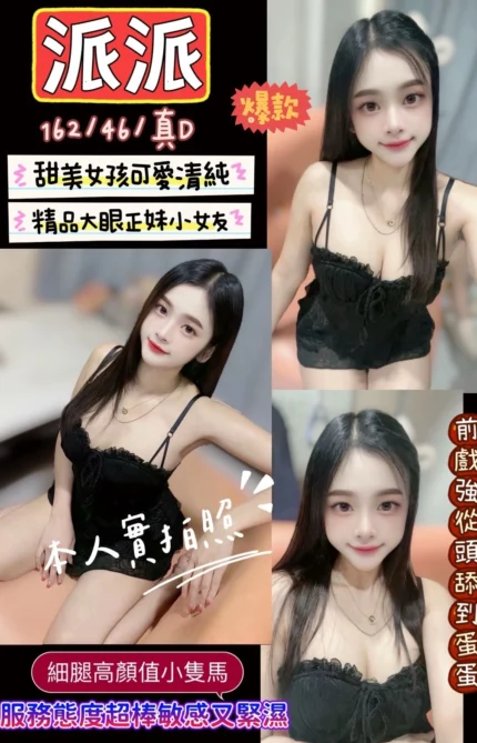 新竹定點茶-派派/162/46/?/D