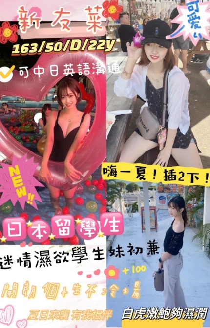 新竹外送茶-新友菜/163/50/22/D