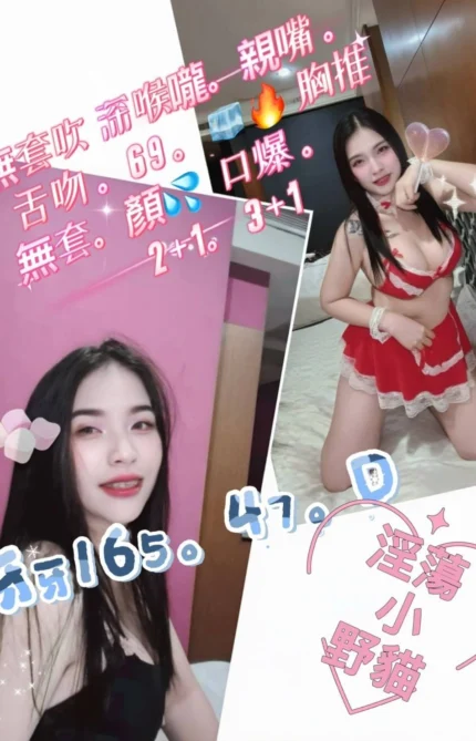 屏東定點茶-牙牙/165/47/?/D