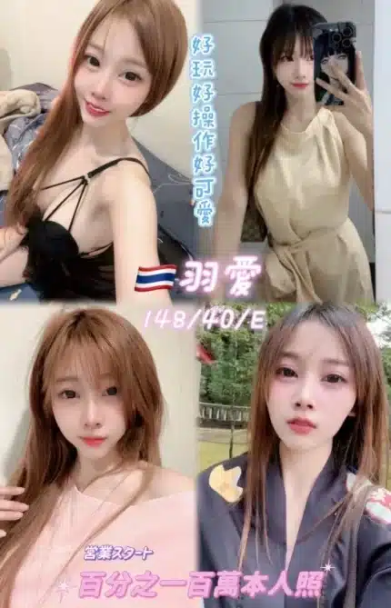 桃園定點茶-羽愛/148/40/24/E