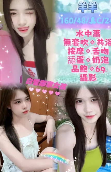 新北定點茶-羊羊/160/48/24/C