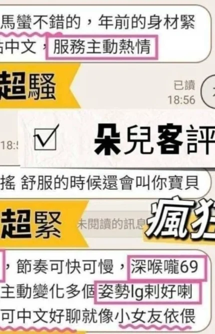 新竹定點茶-朵兒/157/45/23/E