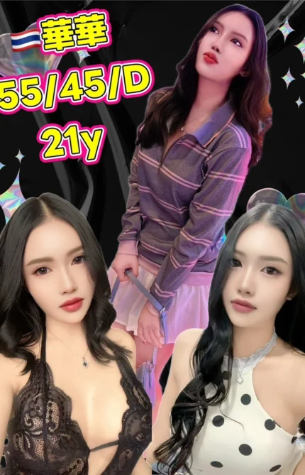 新北定點茶-華華/155/45/21/D