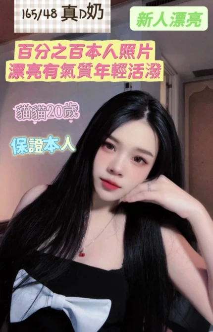 台南定點茶-貓貓/165/48/20/D