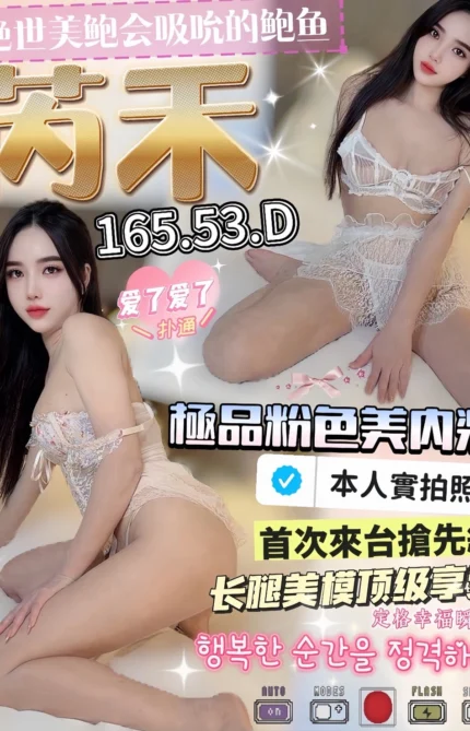 台中定點茶-芮禾/165/43/?/D