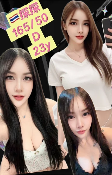 新北定點茶-探探/165/50/23/D