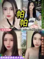 台北定點茶-帕帕/157/48/22/D