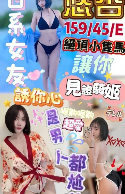 澎湖定點茶-悠杏/159/45/?/E