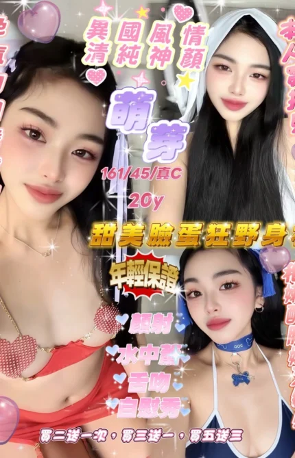 新竹定點茶-萌芽/161/45/20/C