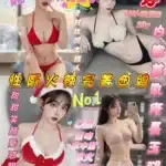 新竹定點茶-虎芽/161/43/23/E