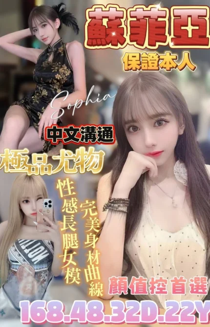 台南定點茶-蘇菲亞/168/48/22/D