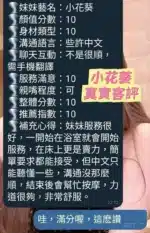 台南定點茶-小花葵/160/46/19/E