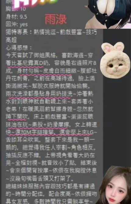 桃園定點茶-雨渌/165/45/19/E