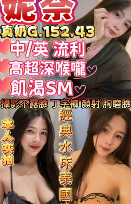 新竹定點茶-妮奈/152/43/24/G