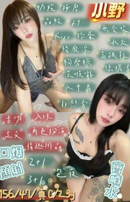 宜蘭定點茶-小野/156/47/23/C