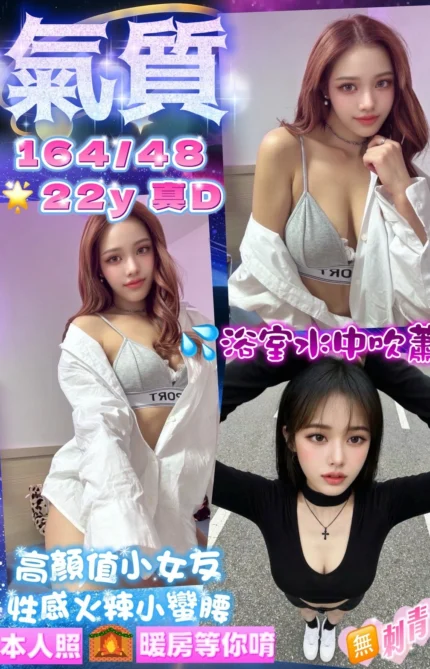 桃園定點茶-氣質/164/48/22/D