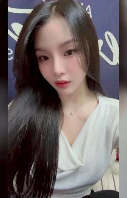 新北定點茶-小龍女/166/52/25/D