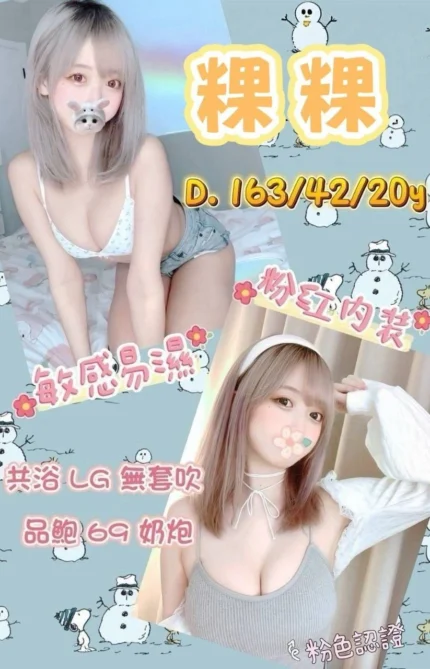 台南外送茶-粿粿/163/42/20/D