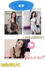 屏東外送茶-鳳梨/160/51/?/C