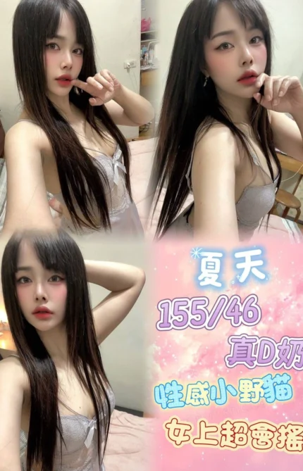 新北定點茶-夏天/155/46/24/D