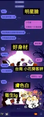 台南定點茶-小花葵/160/46/19/E