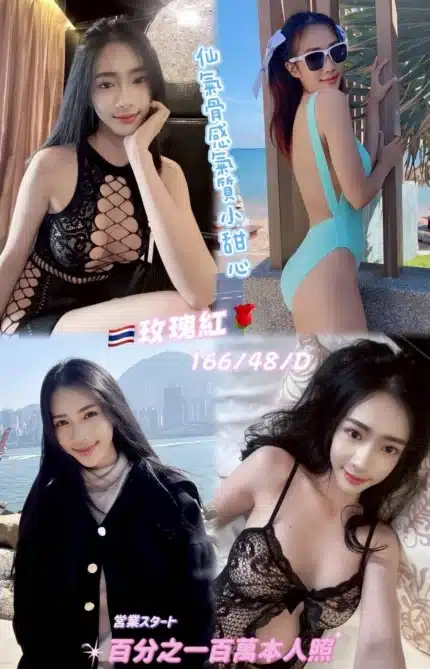 新北定點茶-玫瑰紅/166/48/25/D