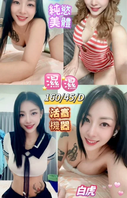 台東定點茶-濕濕/160/45/23/D