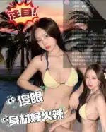 苗栗定點茶-禾羽/158/46/?/D