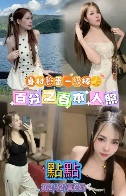 台北定點茶-點點/162/42/22/C