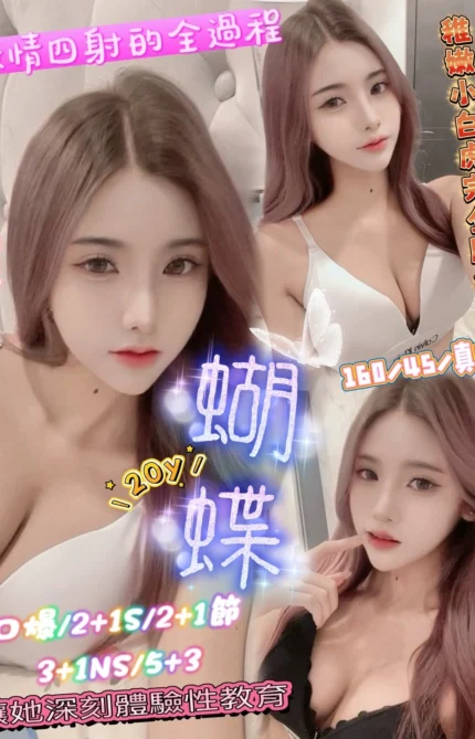 新竹定點茶-蝴蝶/160/45/20/C