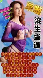 台中定點茶-萊啦/165/48/25/D