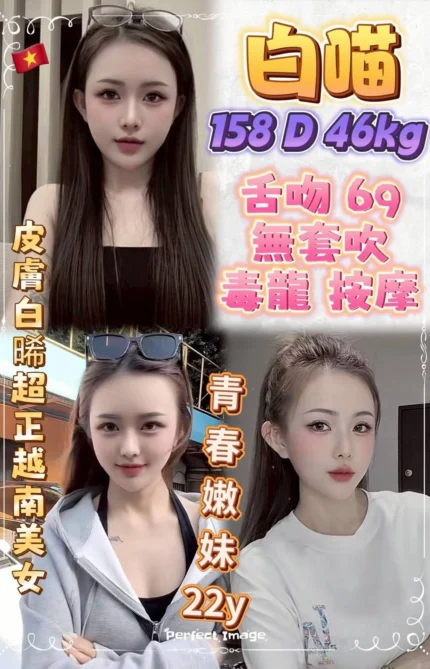 台北定點茶-白喵/158/46/22/D