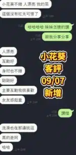 台南定點茶-小花葵/160/46/19/E