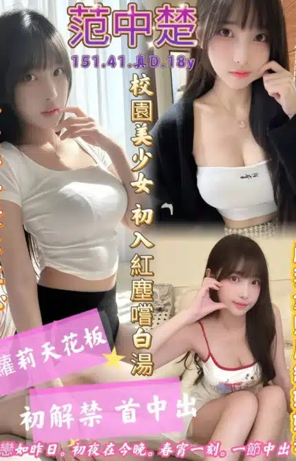 高雄定點茶-范中楚/151/41/18/D