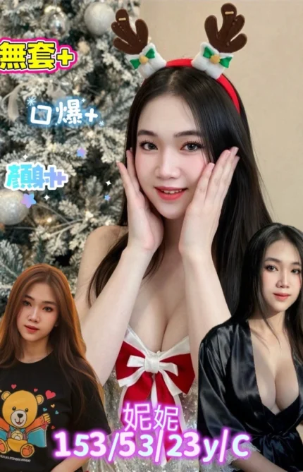 台南定點茶-妮妮/153/53/23/C