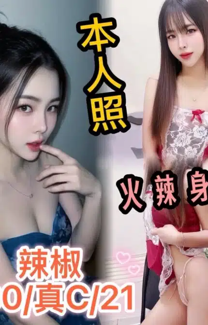 台中定點茶-辣椒/160/?/21/C