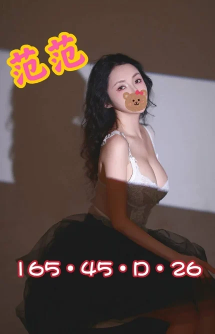 台北外送茶-范范/165/45/26/D