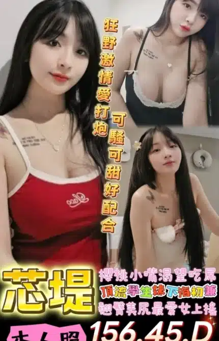 台南定點茶-芯堤/156/45/21/D