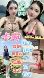 桃園定點茶-卡莉/155/45/23/E