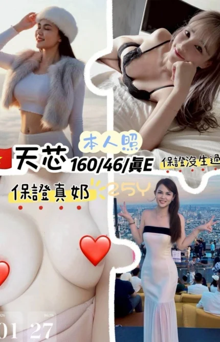 桃園定點茶-天芯/160/46/25/E