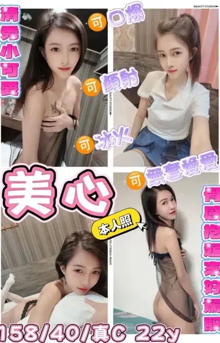 新北定點茶-美心/158/40/22/C