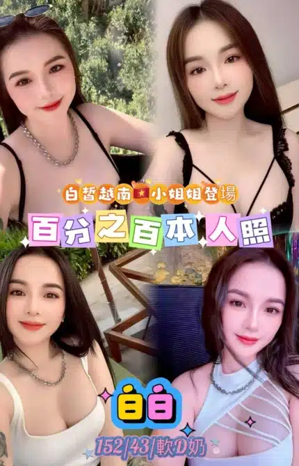 台北定點茶-白白/152/43/25/D