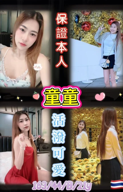 台北定點茶-童童/163/44/21/B