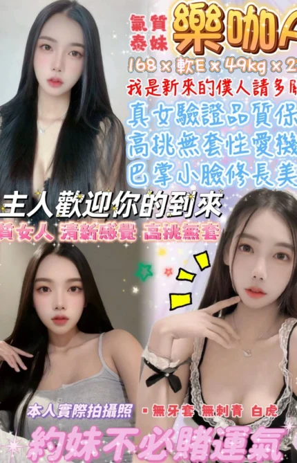 台北定點茶-樂咖A/168/49/23/E