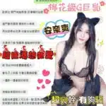 台中定點茶-安奈爽/163/50/23/G