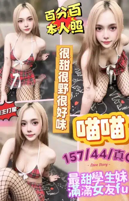 台中定點茶-喵喵/157/44/22/C