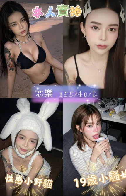 台中定點茶-芯樂/155/40/19/D