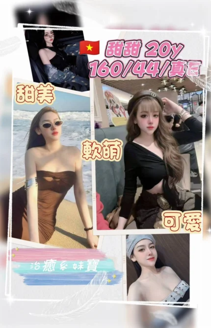 桃園定點茶-甜甜/160/44/20/E