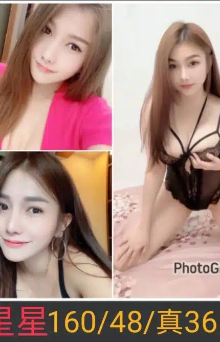 南投定點茶-星星/160/48/?/D