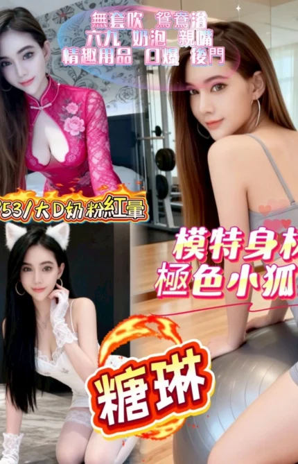 新竹定點茶-糖琳/165/53/28/D